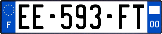 EE-593-FT