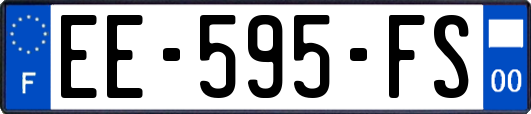 EE-595-FS