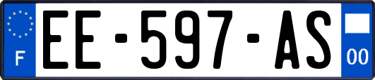EE-597-AS