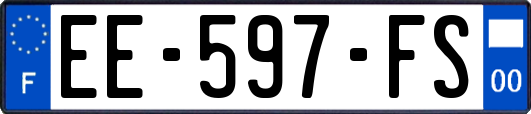 EE-597-FS