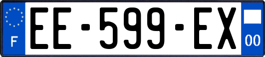 EE-599-EX