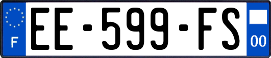 EE-599-FS