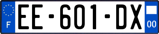 EE-601-DX