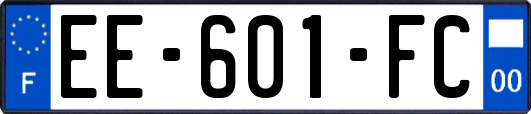EE-601-FC