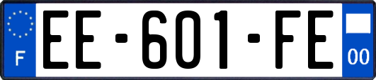 EE-601-FE