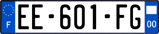 EE-601-FG