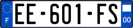 EE-601-FS