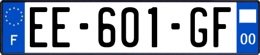 EE-601-GF