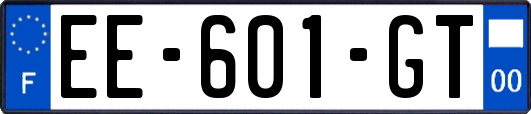 EE-601-GT