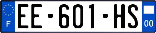 EE-601-HS