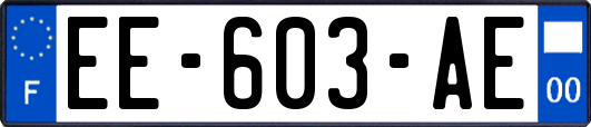 EE-603-AE