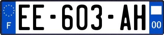 EE-603-AH