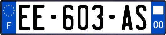 EE-603-AS