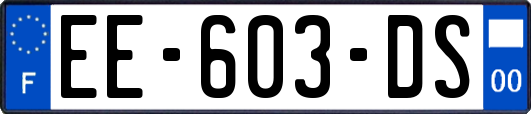 EE-603-DS