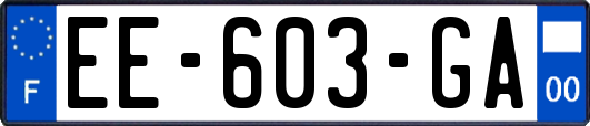 EE-603-GA