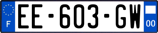 EE-603-GW