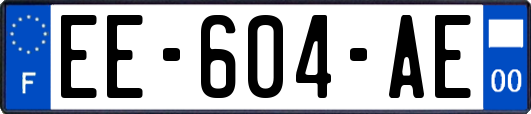 EE-604-AE