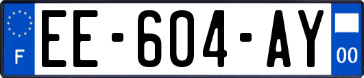 EE-604-AY