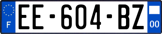 EE-604-BZ