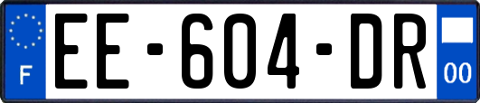 EE-604-DR