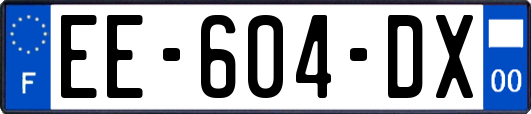 EE-604-DX