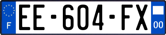 EE-604-FX
