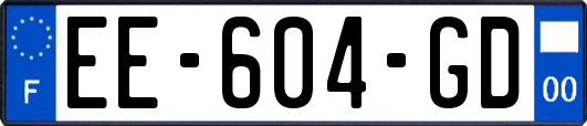 EE-604-GD