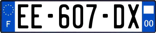 EE-607-DX
