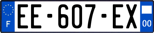 EE-607-EX