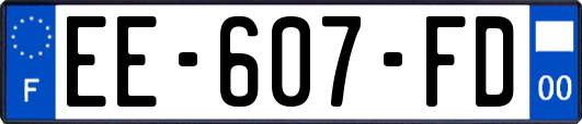 EE-607-FD