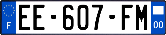 EE-607-FM