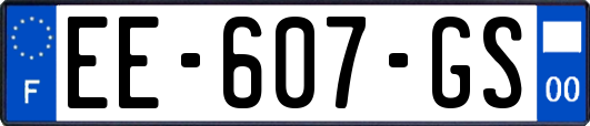 EE-607-GS