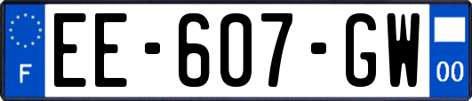 EE-607-GW