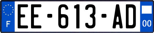 EE-613-AD