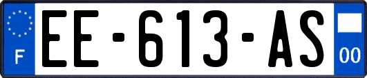 EE-613-AS
