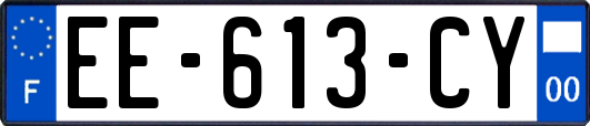 EE-613-CY