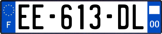 EE-613-DL