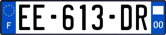 EE-613-DR