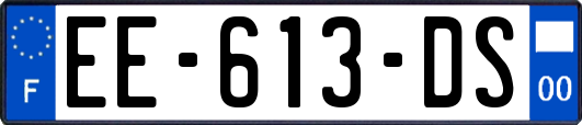EE-613-DS