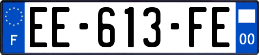 EE-613-FE
