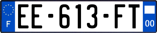EE-613-FT