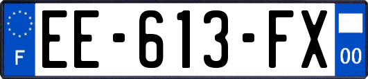 EE-613-FX