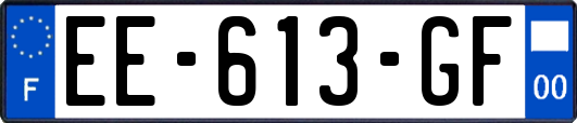 EE-613-GF