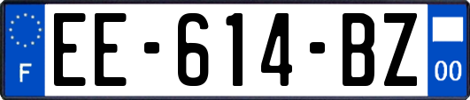 EE-614-BZ