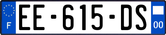 EE-615-DS