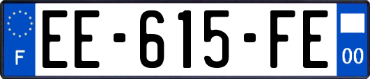 EE-615-FE