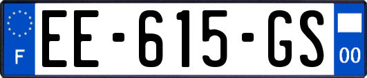 EE-615-GS