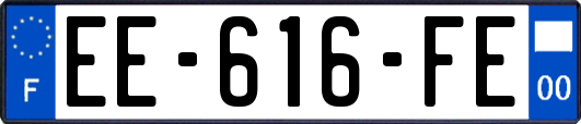 EE-616-FE
