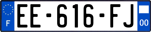 EE-616-FJ