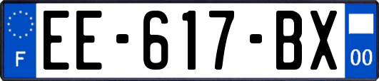 EE-617-BX